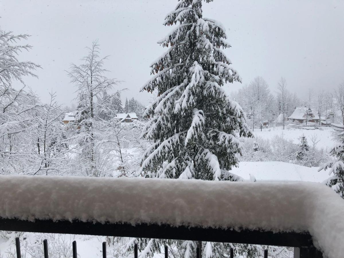 Dom Wypoczynkowy I Apartamenty "Nabucco" Z Widokiem Na Giewont I Gory Zakopane Exterior photo