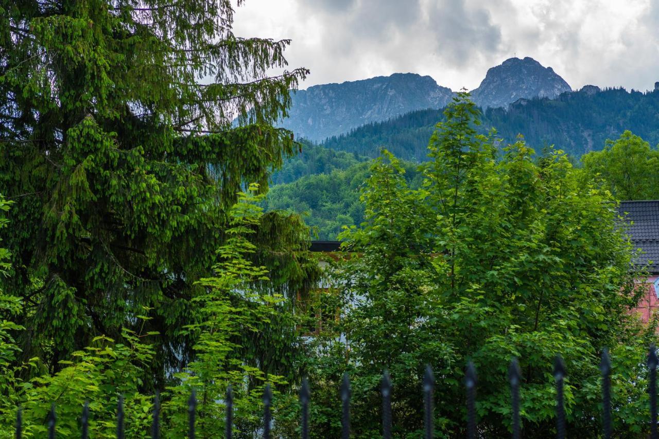 Dom Wypoczynkowy I Apartamenty "Nabucco" Z Widokiem Na Giewont I Gory Zakopane Exterior photo